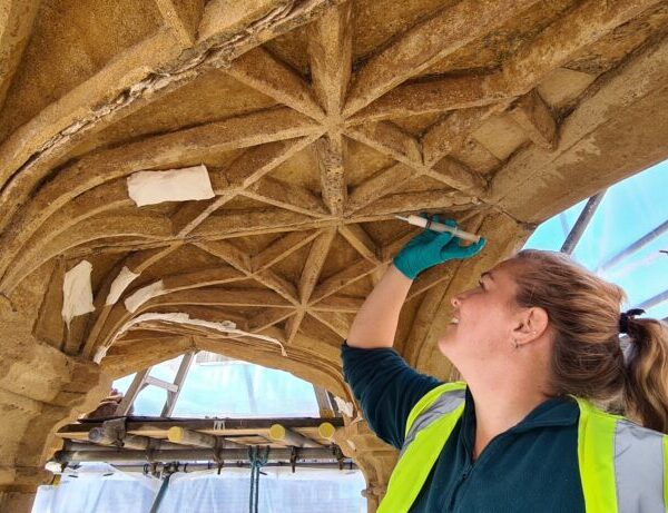 Skillingtons Project Wins 2025 AABC Conservation Award