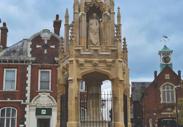 Skillingtons Project Shortlisted as 2025 AABC Conservation Awards: Regional Finalist!