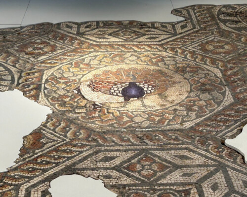 Conserved mosaics reinstalled at Leicester's Jewry Wall Museum, 2025. Conserved mosaics reinstalled at Leicester's Jewry Wall Museum, 2025.