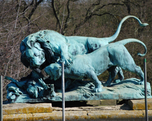 Lion sculptures at Harlaxton Manor, Lincolnshire, during conservation works. Lion sculptures at Harlaxton Manor, Lincolnshire.